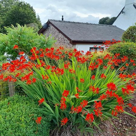Auld Ffynnon Villa Brecon Exterior foto