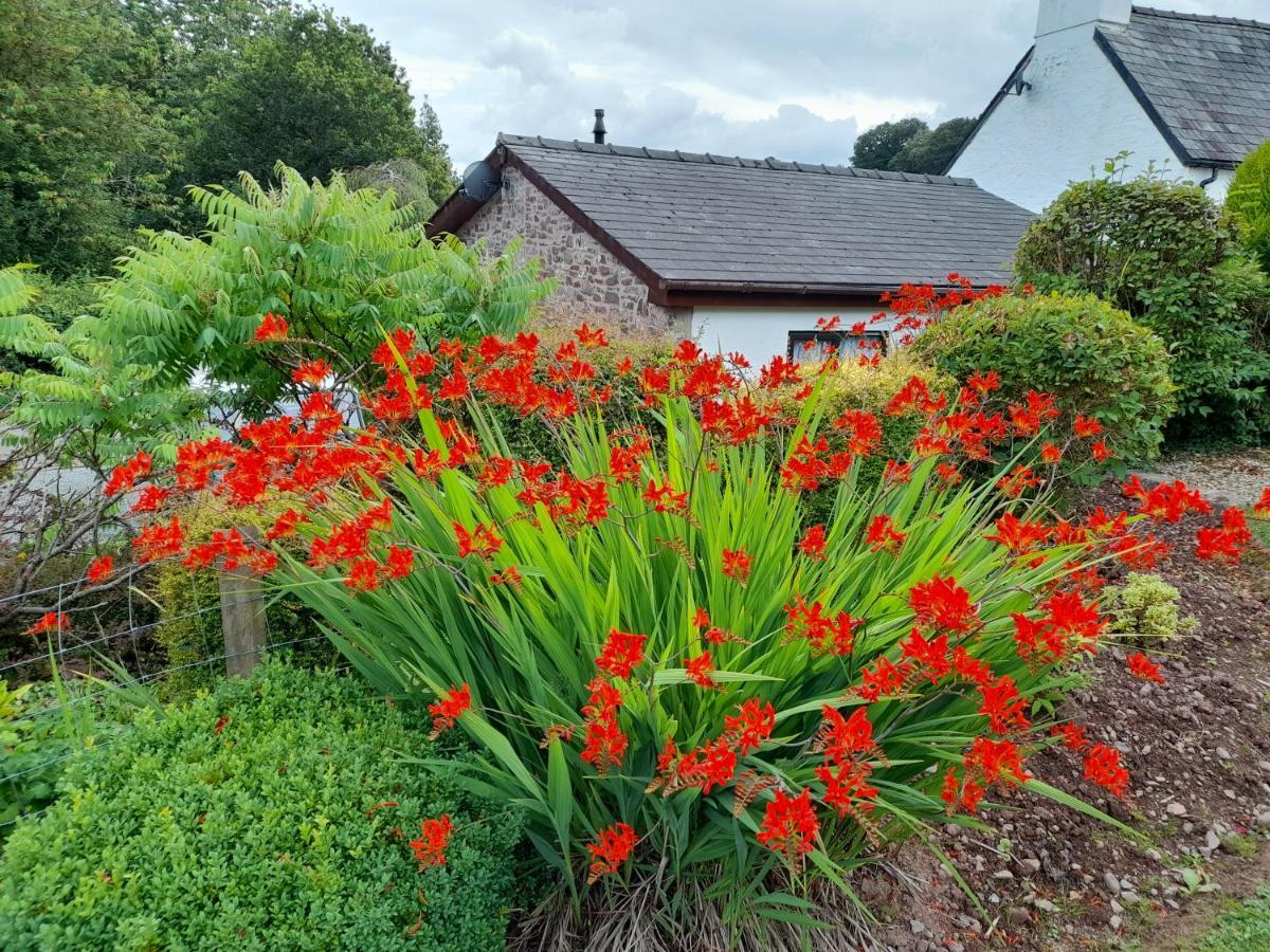 Auld Ffynnon Villa Brecon Exterior foto