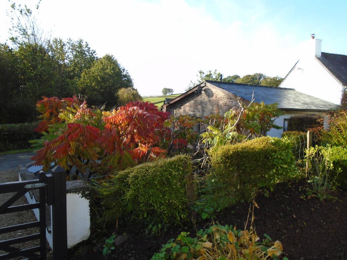 Auld Ffynnon Villa Brecon Exterior foto